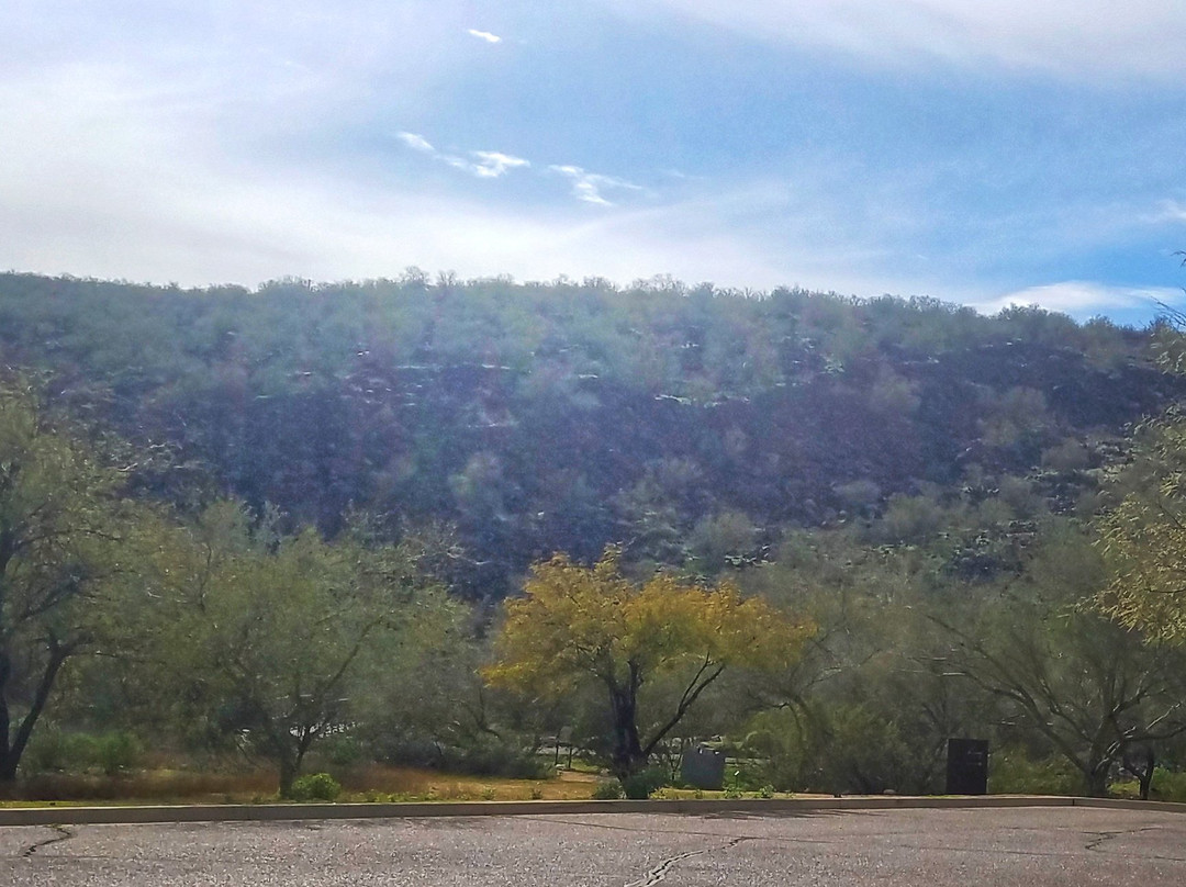 Deer Valley Petroglyph Preserve-格兰岱尔必去景点