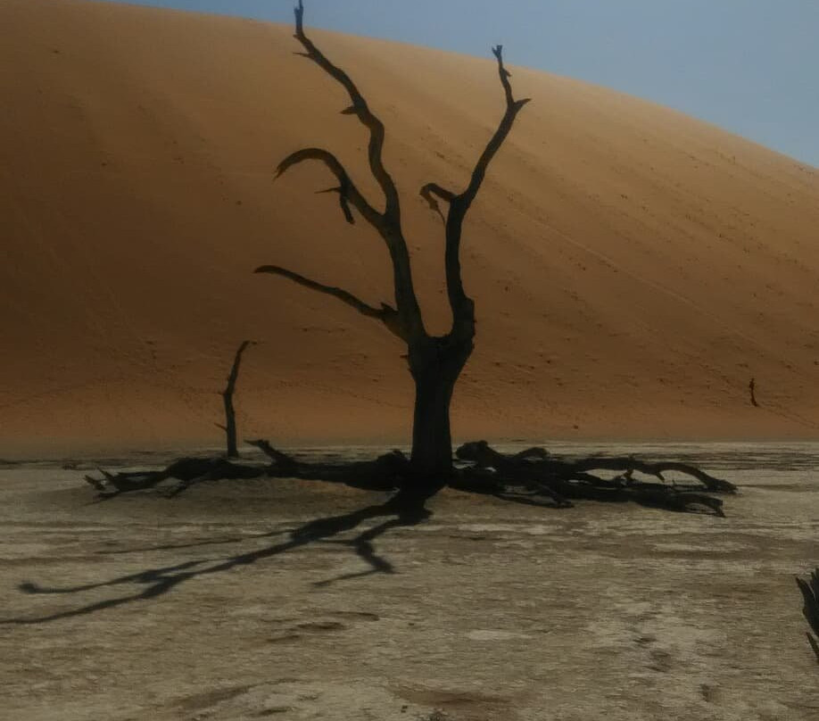 Discovery Transfer and Tour-温德和克必去景点