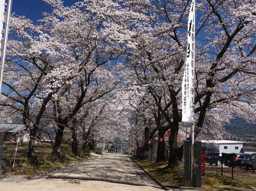 Ruriji Temple-高森町必去景点