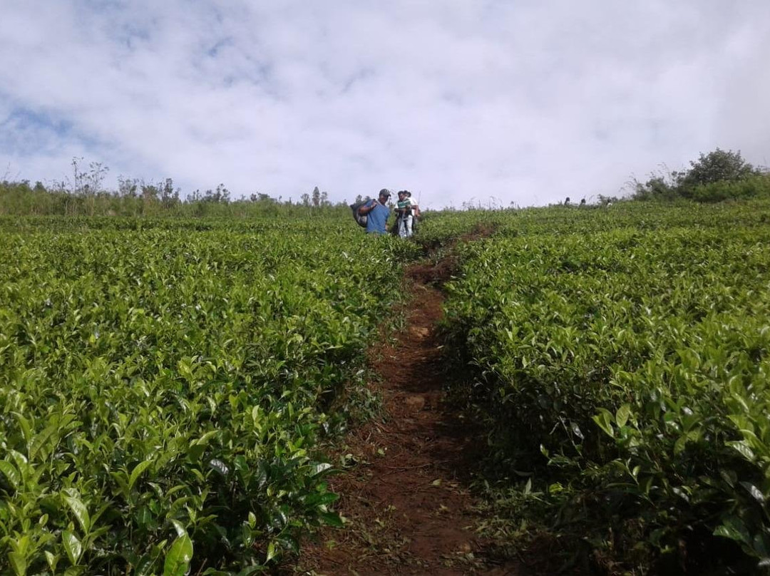 Loger-佩拉德尼亚必去景点