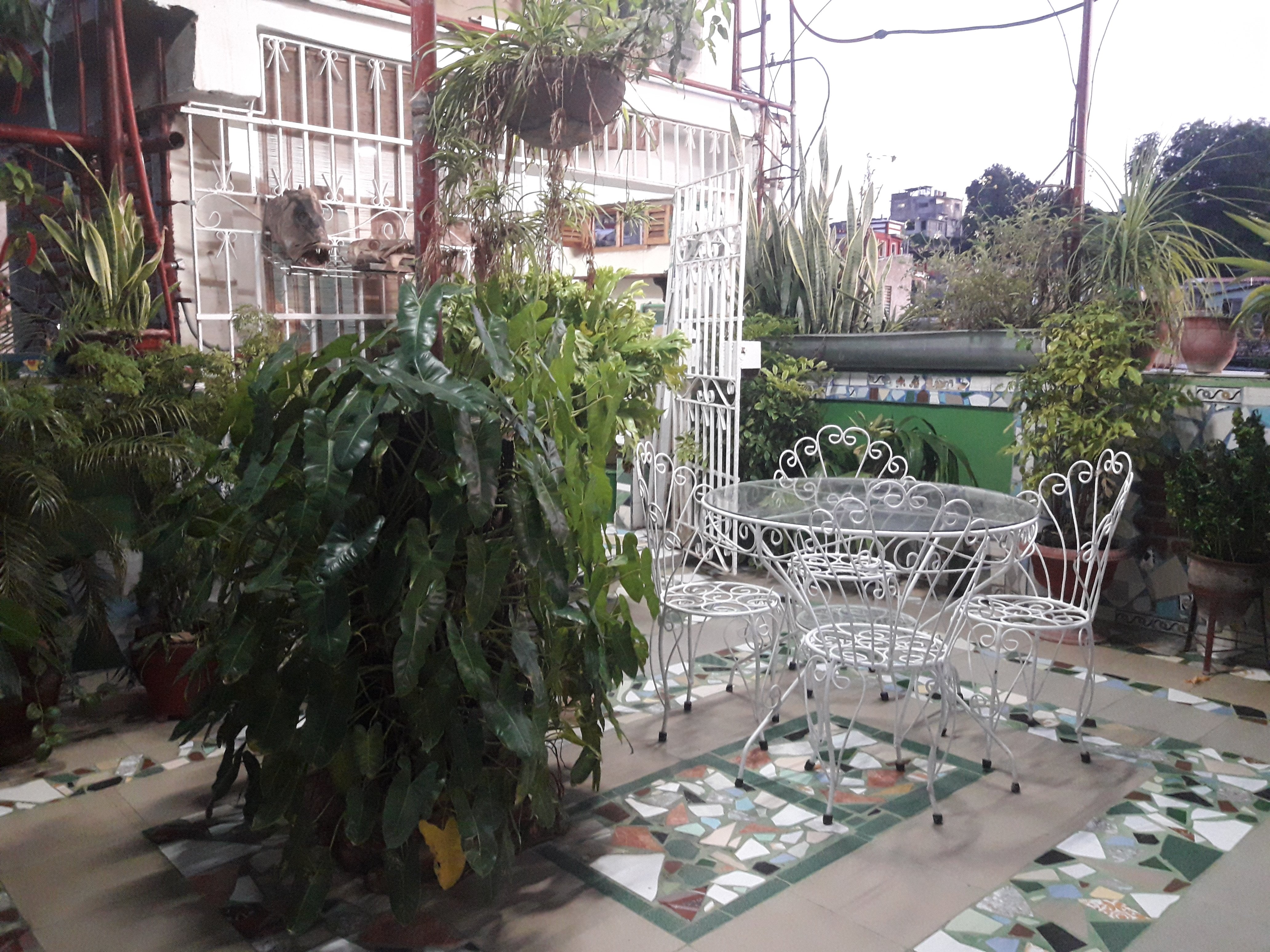 La Terraza Verde-官方