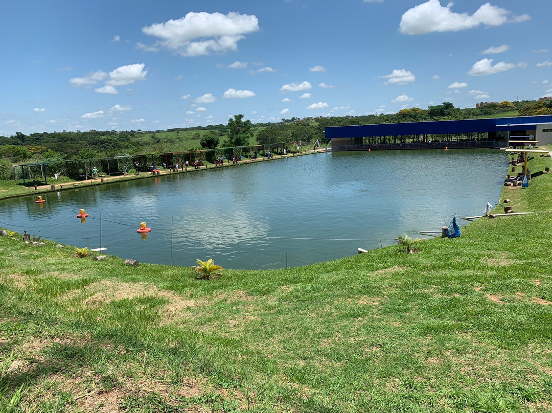 Piscicultura E Pesqueiro Dinho Peixes