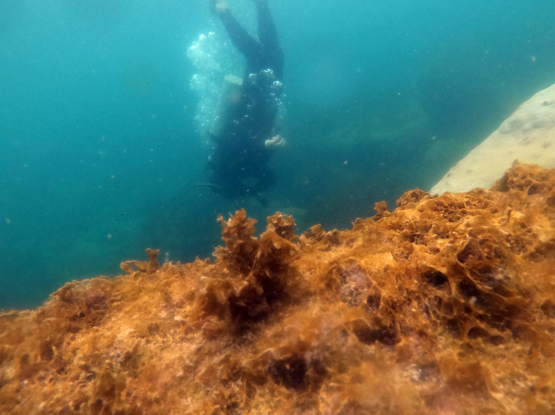 Acquanauta Floripa-弗洛里亚诺波利斯必去景点