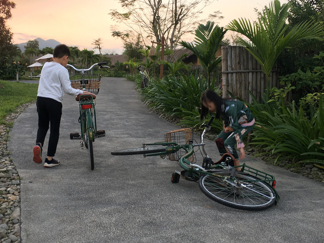 Alba Wellness Resort By Fusion主图