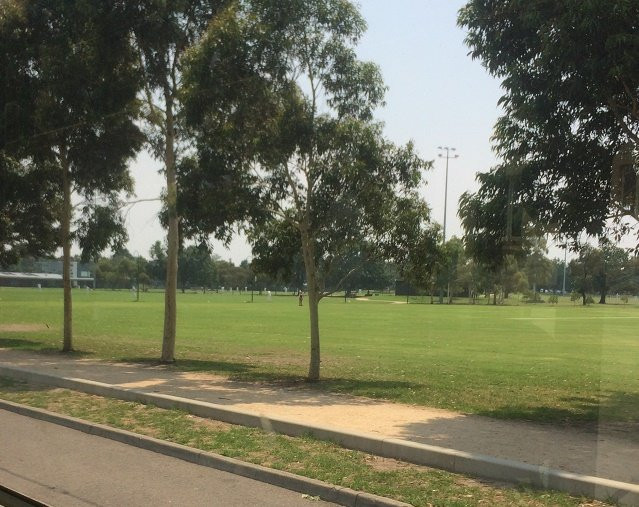 Caulfield Park景点图片