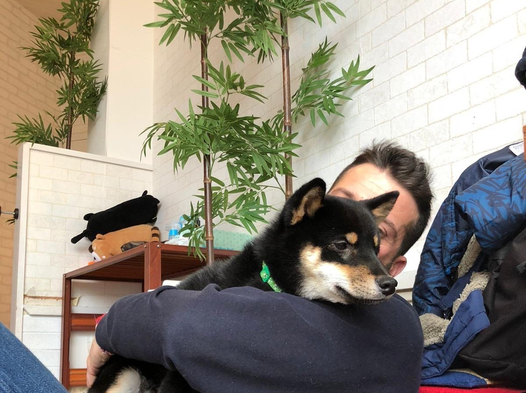 Cafe Ryoma-京都市必去景点