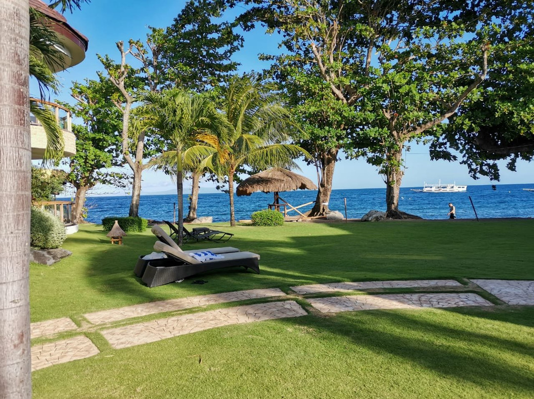 维达公寓式酒店主图