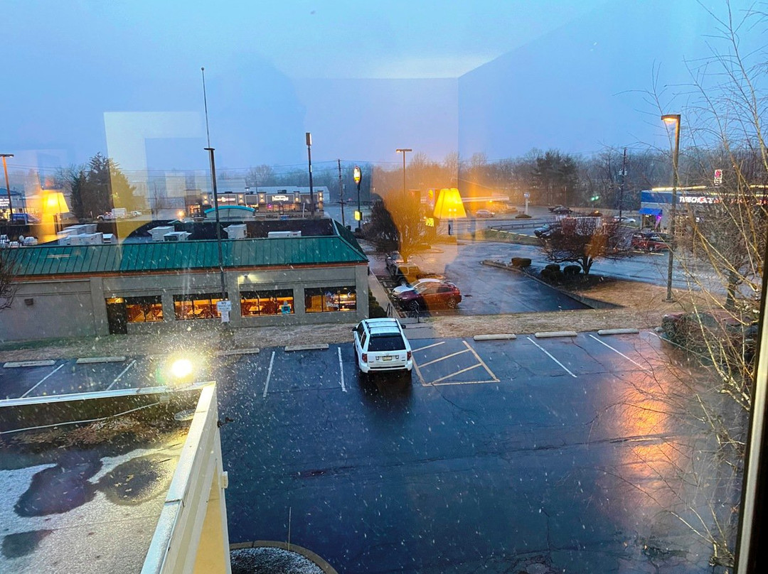 Quality Inn Arena主图