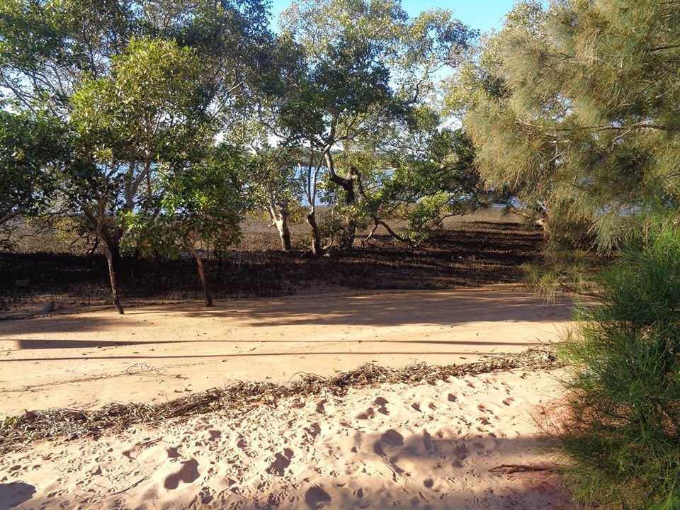 Jock Kennedy Recreation Reserve景点图片