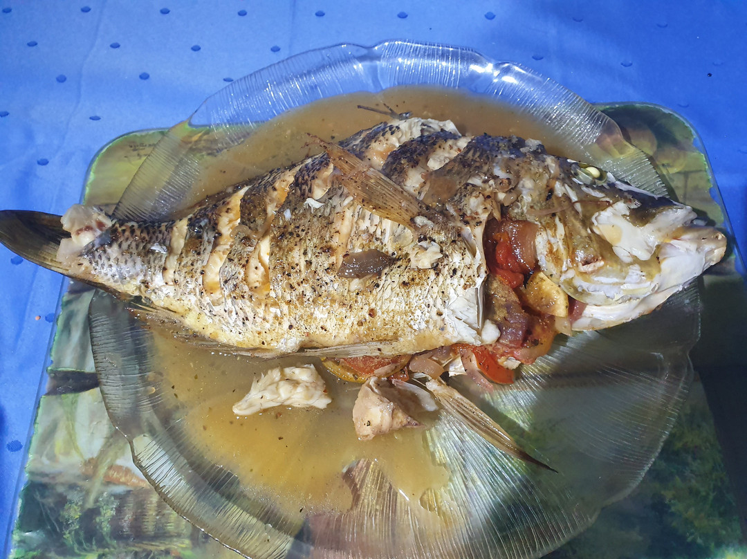 Offshore Reef & Game Fishing Mooloolaba景点图片