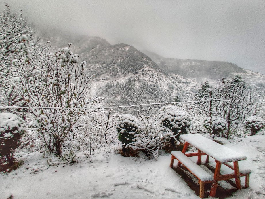 Zostel Homes Laida主图