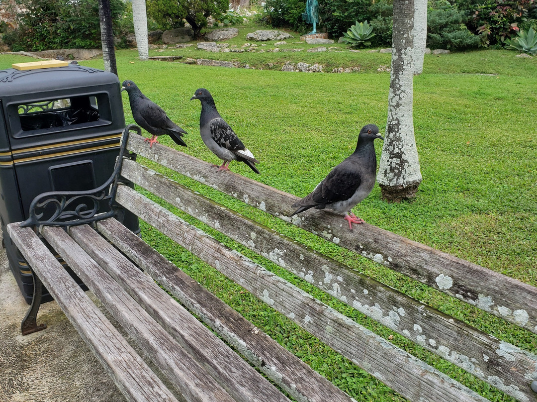 帕拉威利公园-汉密尔顿必去景点