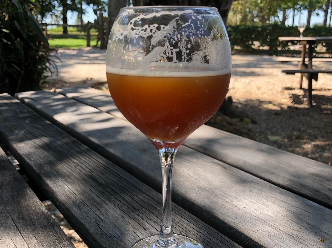 Porto Brazos-Ponta Grossa必去景点