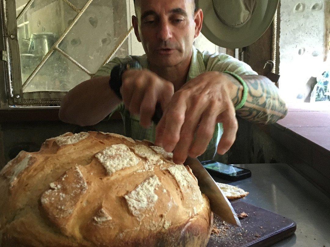 普金伊别墅主图