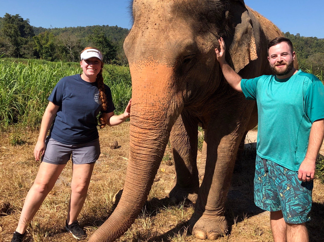 Elephant Family Care-讪巴东必去景点