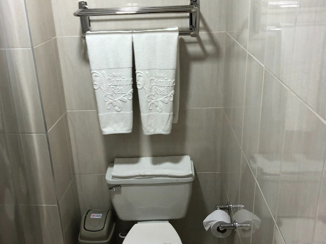 Hotel Camino Real主图