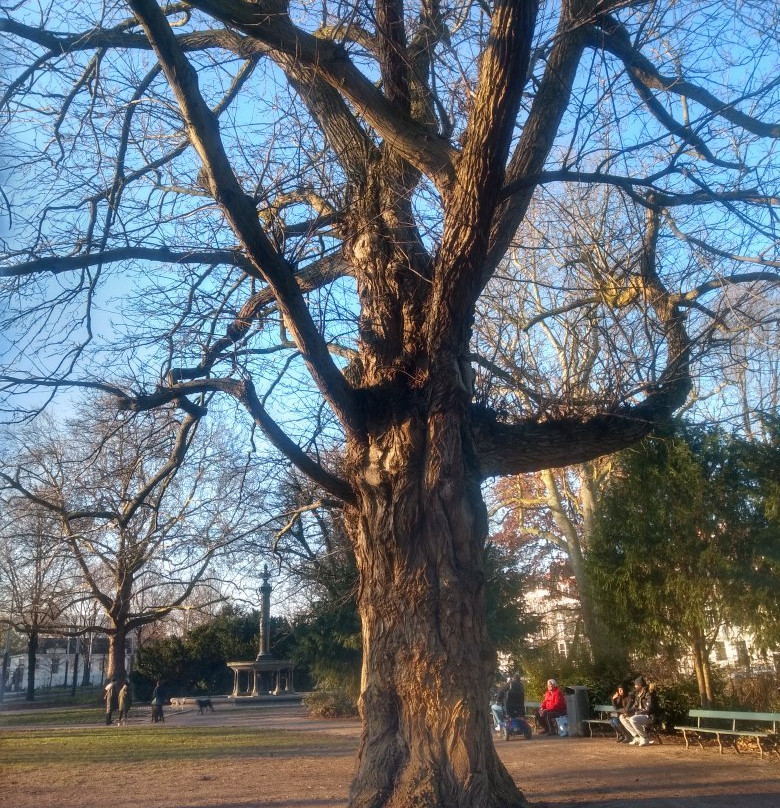 The Neighbourhood of Anne Frank Walking Tours景点图片