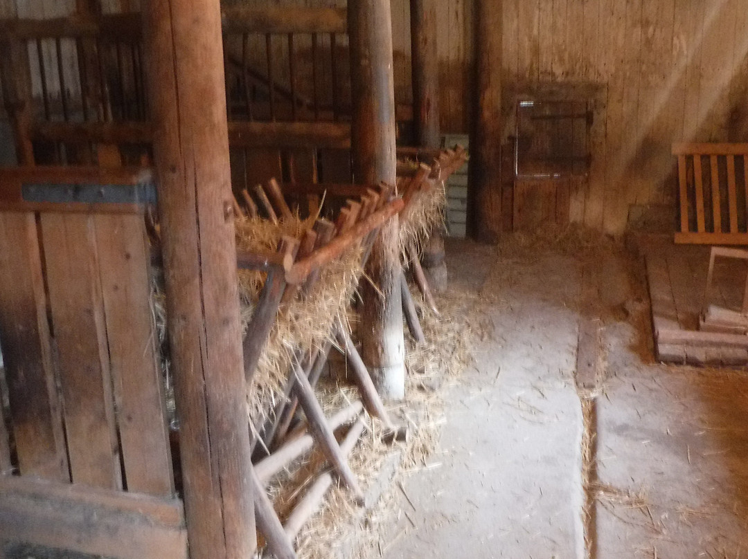 Kylamaki Village of Living History-土尔库必去景点