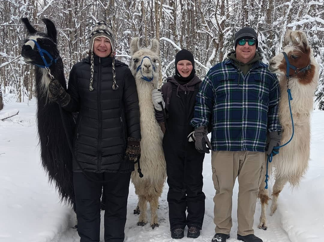 Moose River Farm景点图片