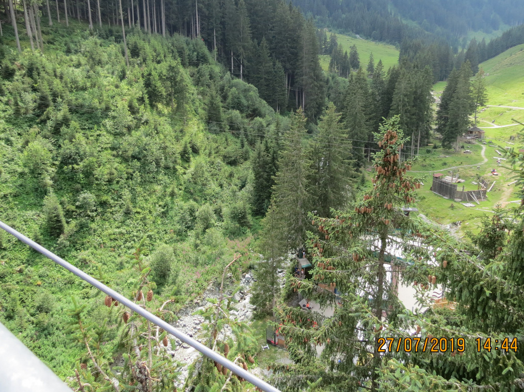 Baumzipfelweg景点图片
