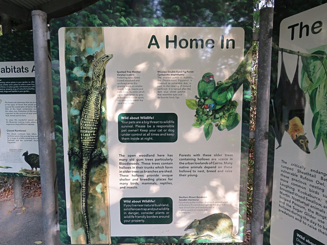 Earl Hill-三一海滩必去景点