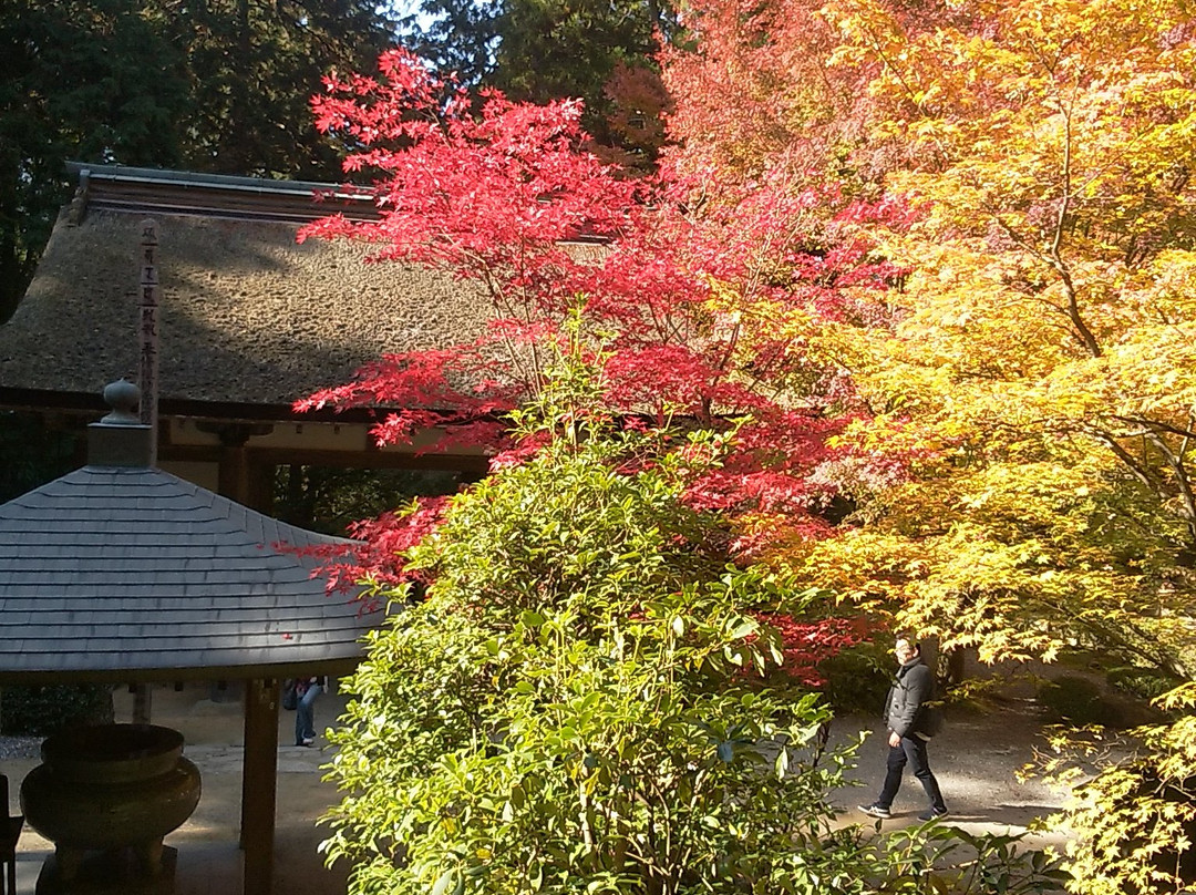 Kongorin-ji Temple Main Hall-爱庄町必去景点