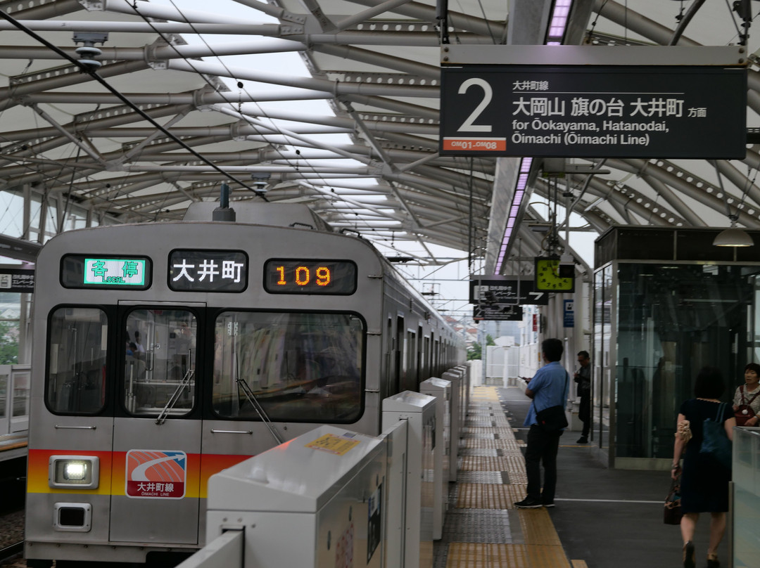 Kaminoge Station-世田谷区必去景点