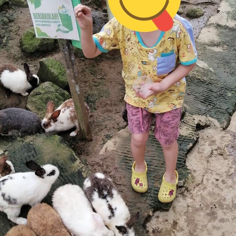 Arnab Farm Sejati-Poring必去景点