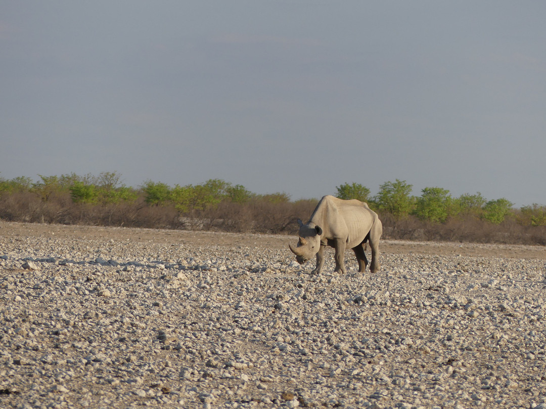 Don Tours & Safaris-温德和克必去景点