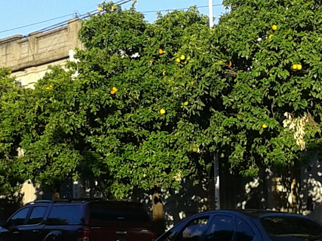 Plaza de la Terminal景点图片