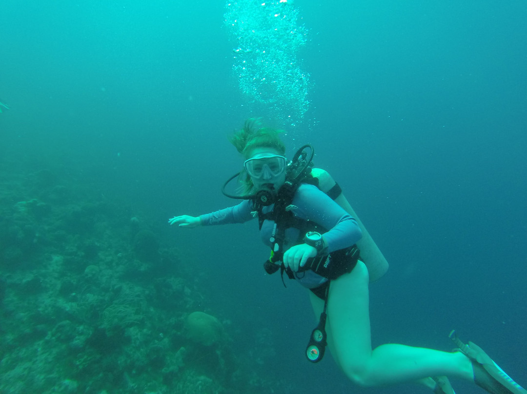 Provo Turtle Divers-普罗维登西亚莱斯必去景点