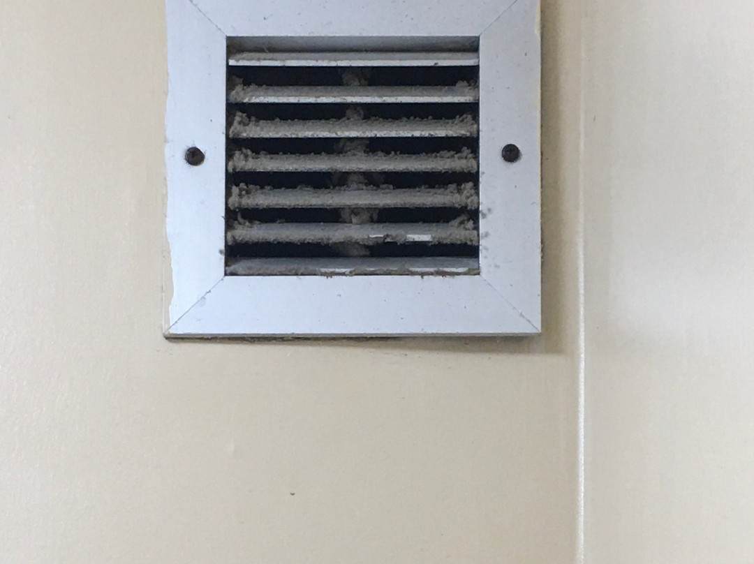 Econolodge Port Canaveral Area主图