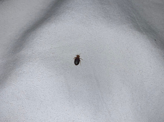 Riata Inn Marfa主图