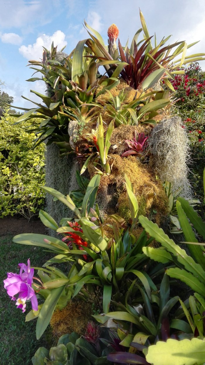 Coliving la Boira-官方