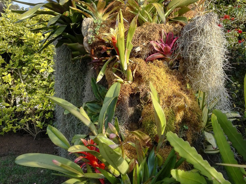 Coliving la Boira主图