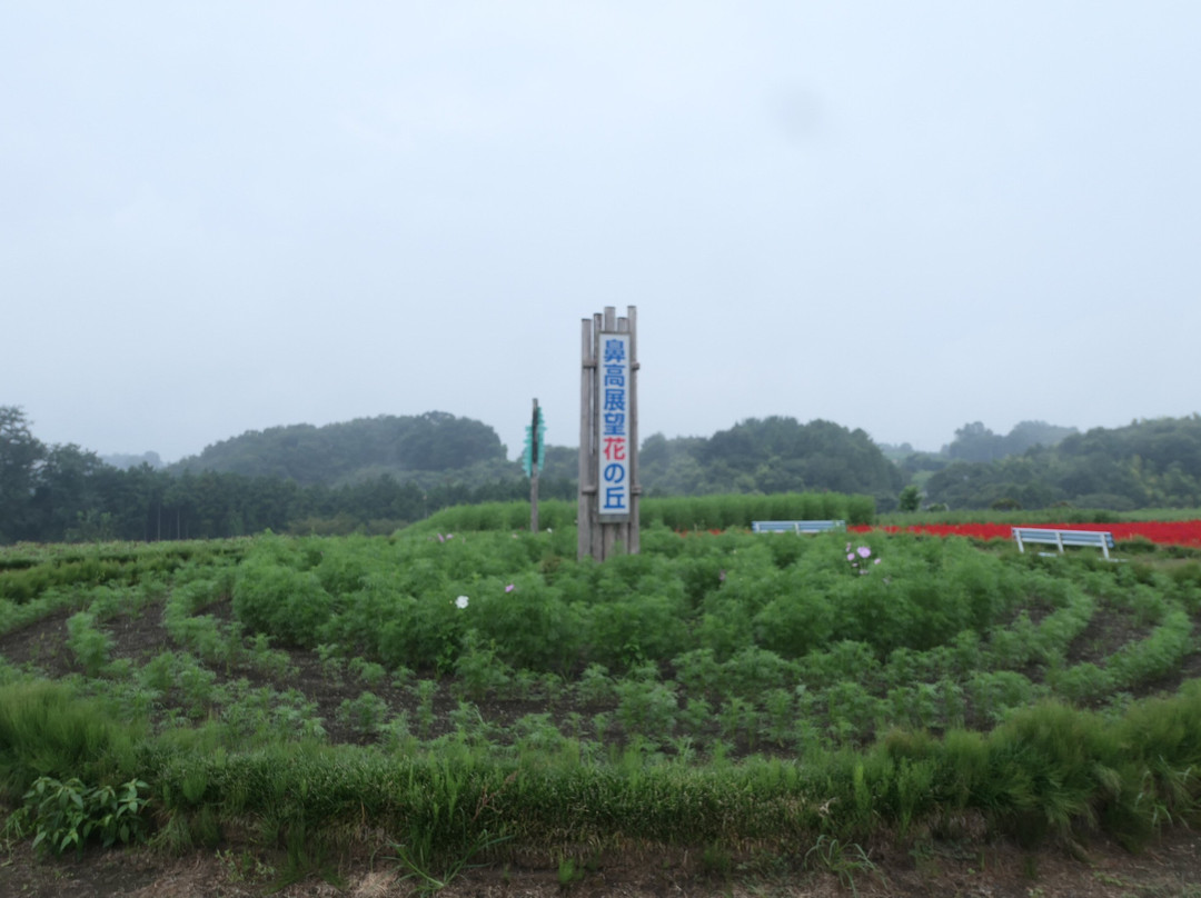 Hanadaka Tenbo Hananooka景点图片