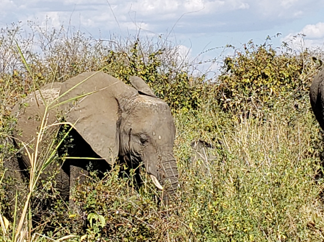 CRA Safari Tours-Iringa必去景点