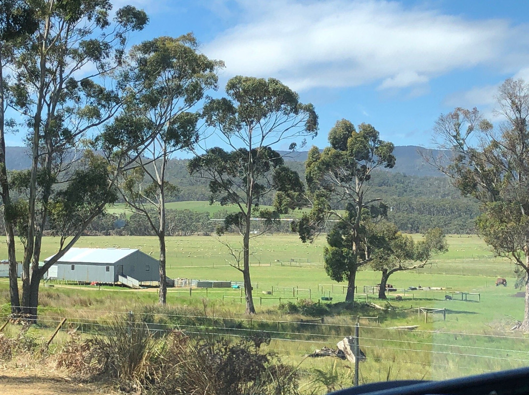 Tassie Tours Tasmania景点图片