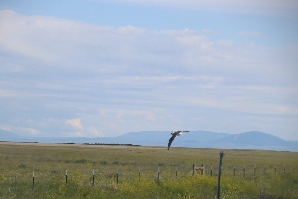 Benton Lake National Wildlife Refuge景点图片