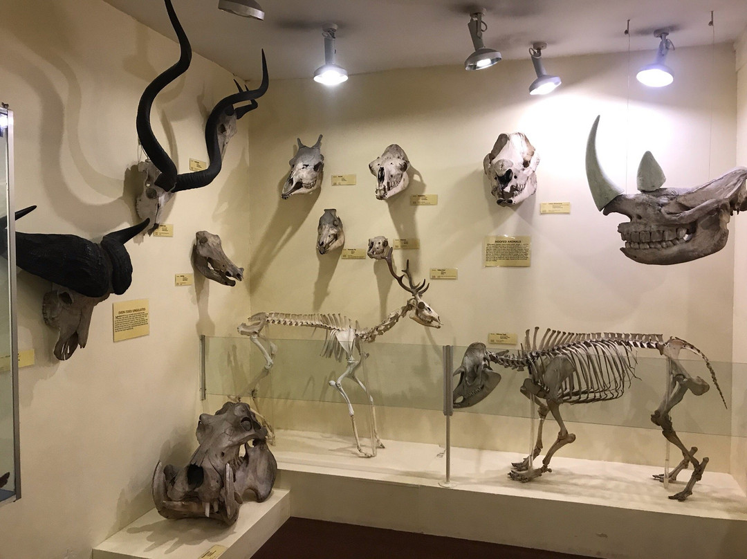 Booth Museum of Natural History-布莱顿必去景点