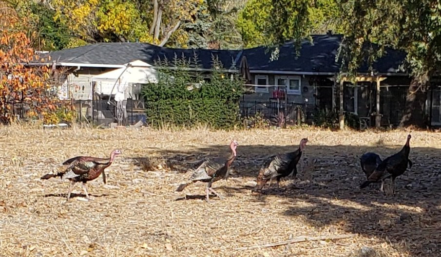 Lafayette Reservoir-Lafayette必去景点