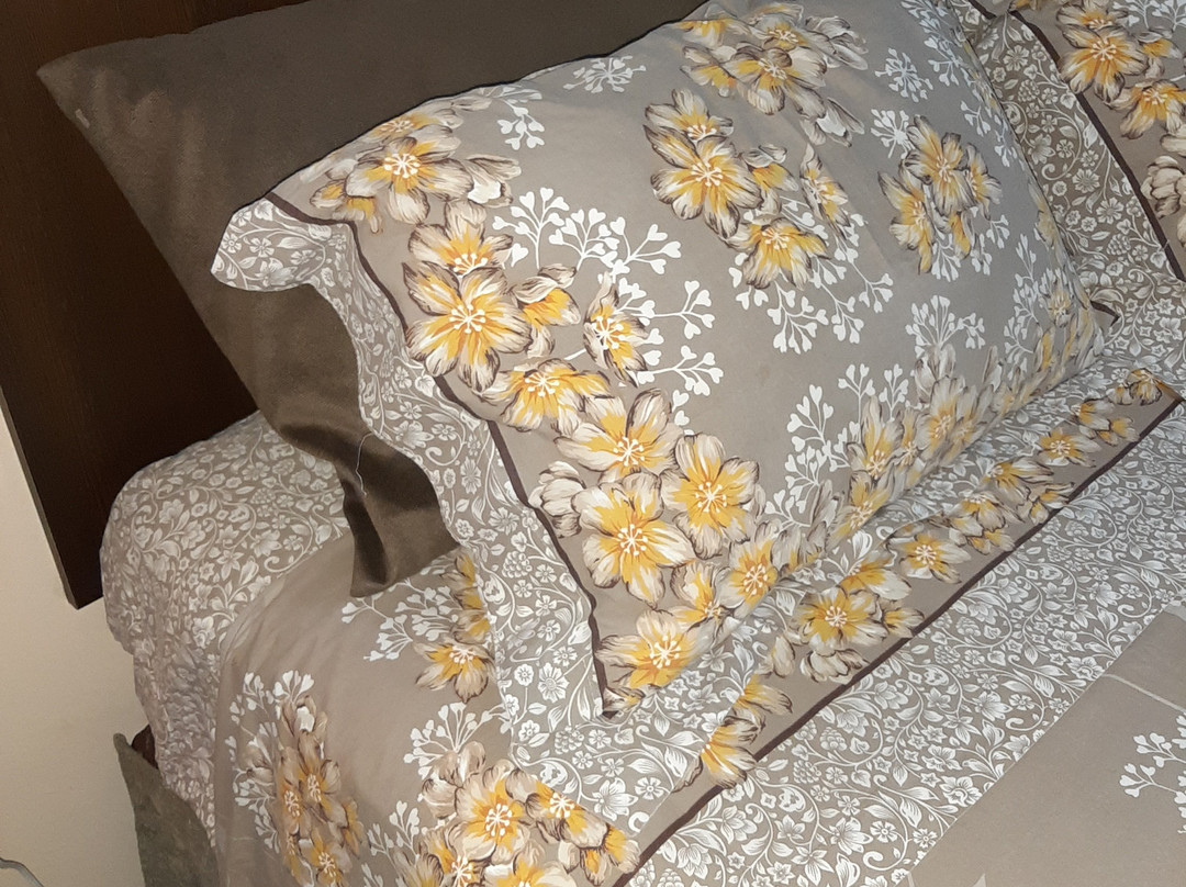 Pousada Primavera主图