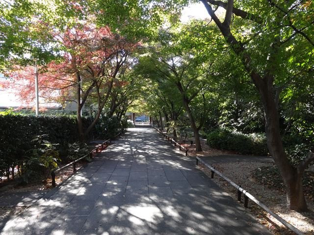 Koen-ji Temple-杉并区必去景点
