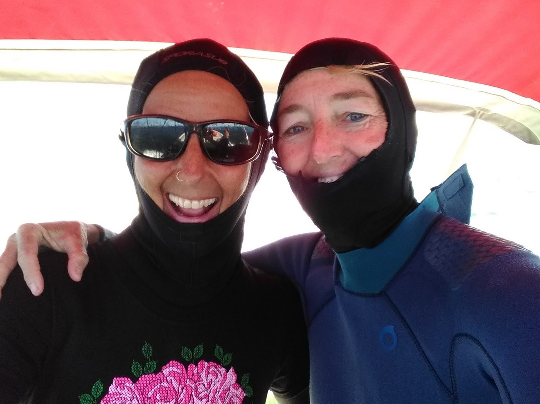 MT Solomons Freediving-拉巴斯必去景点