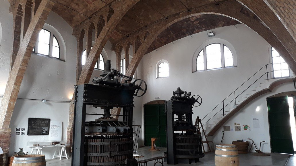 Bodega Cooperativa de Gandesa景点图片