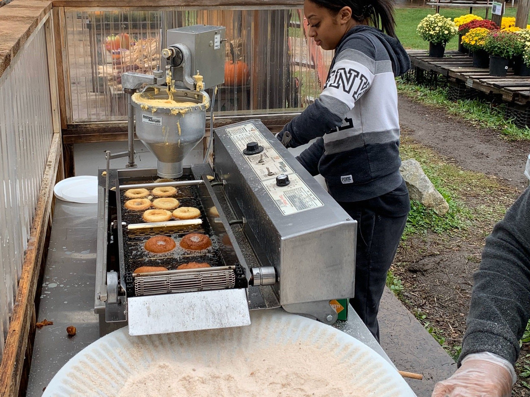 Ward's Berry Farm-Sharon必去景点