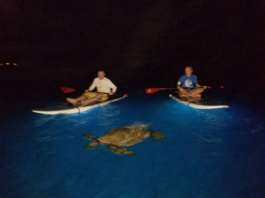 Glow SUP Maui-Makena必去景点