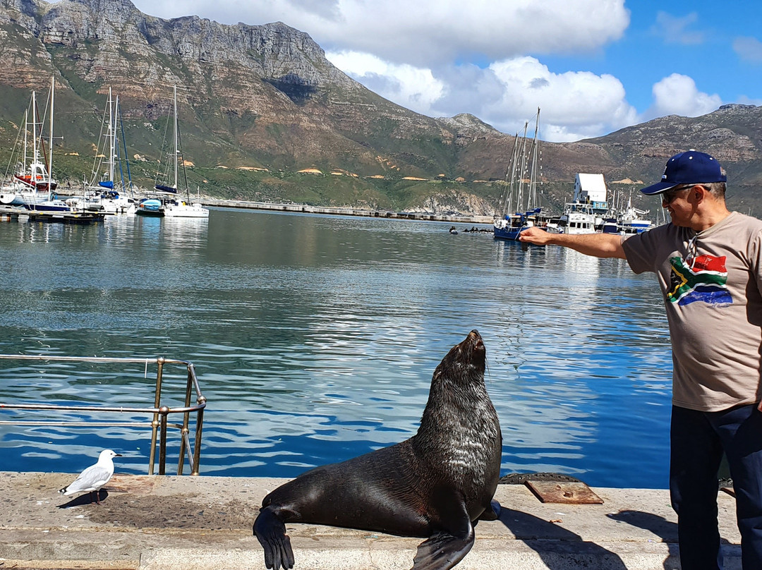 Western Tours and Transfers-开普敦中心区必去景点