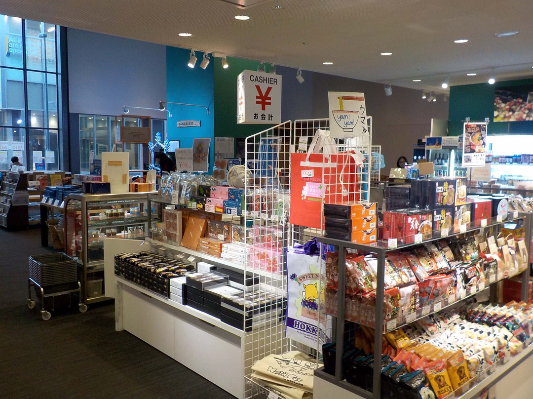 Asahikawa Tourist Information Center-旭川市必去景点