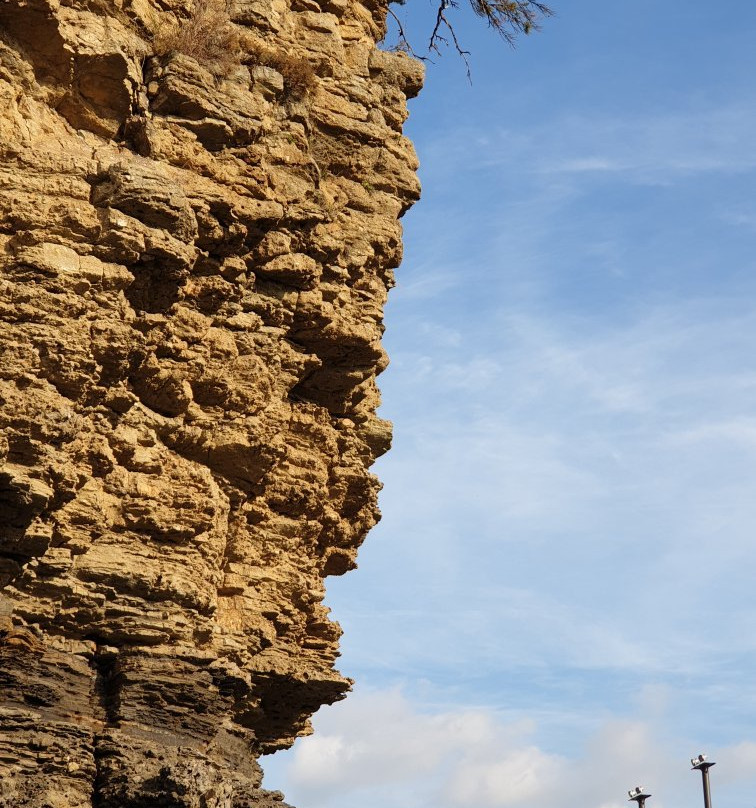Byunsan Aqua World-扶安郡必去景点